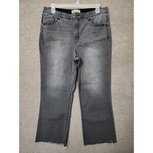 Democracy Ab Technology Jeans Womens 16 Gray Raw Hem Slimming Cotton Stretch